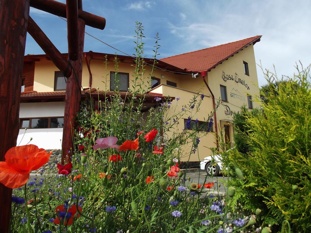 Pensiunea Casa Zmeilor Dragus Extérieur photo